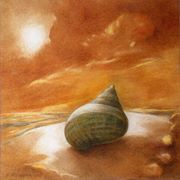 /album/galleria-foto-sezione-quadri/conchiglia-olio-s-cartoncino-25x25-2006-jpg/
